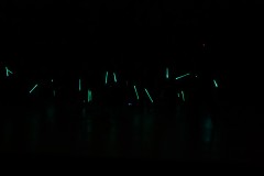 DSC09653