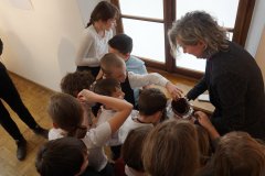 53636606_2185567874859090_7705462085425037312_o_2185567864859091